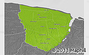 Physical 3D Map of Marowijne, desaturated