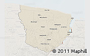 Shaded Relief 3D Map of Marowijne, lighten
