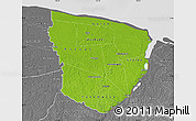 Physical Map of Marowijne, desaturated