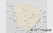 Shaded Relief Map of Marowijne, desaturated