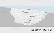Gray Panoramic Map of Marowijne, single color outside