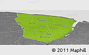 Physical Panoramic Map of Marowijne, desaturated
