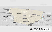 Shaded Relief Panoramic Map of Marowijne, desaturated