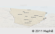 Shaded Relief Panoramic Map of Marowijne, lighten