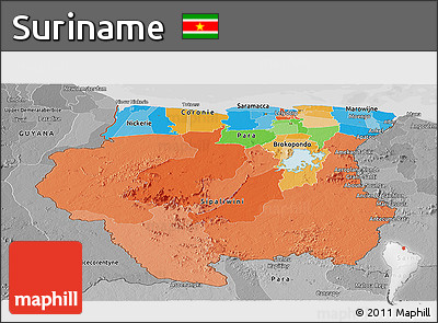 Political Panoramic Map of Suriname, desaturated