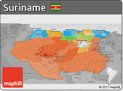 Political Panoramic Map of Suriname, desaturated