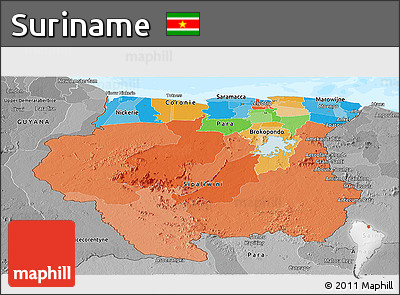 Political Panoramic Map of Suriname, desaturated, land only