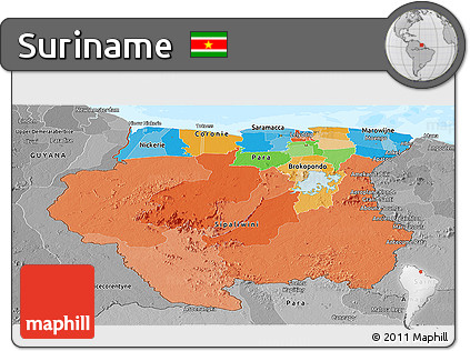 Political Panoramic Map of Suriname, desaturated, land only