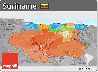 Political Panoramic Map of Suriname, desaturated, land only
