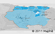 Political Shades Panoramic Map of Suriname, lighten, desaturated
