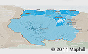 Political Shades Panoramic Map of Suriname, lighten, semi-desaturated