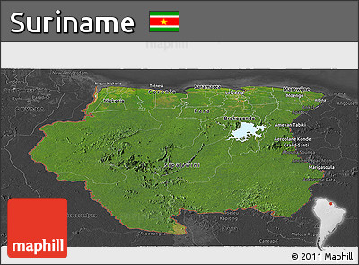 Satellite Panoramic Map of Suriname, darken, desaturated