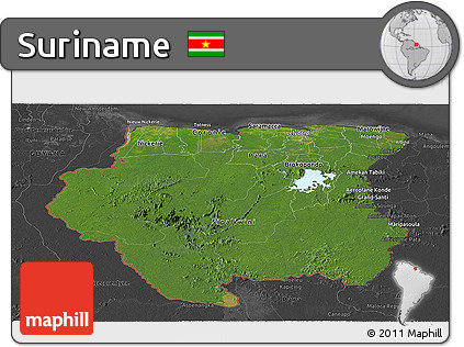 Satellite Panoramic Map of Suriname, darken, desaturated