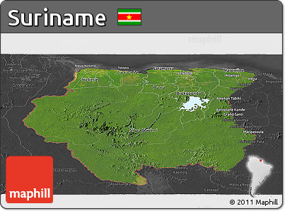Satellite Panoramic Map of Suriname, darken, desaturated