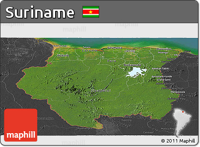 Satellite Panoramic Map of Suriname, darken, desaturated, land only