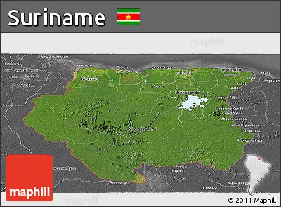 Satellite Panoramic Map of Suriname, desaturated