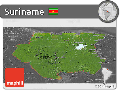 Satellite Panoramic Map of Suriname, desaturated