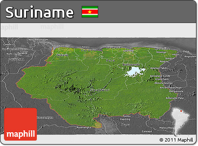 Satellite Panoramic Map of Suriname, desaturated