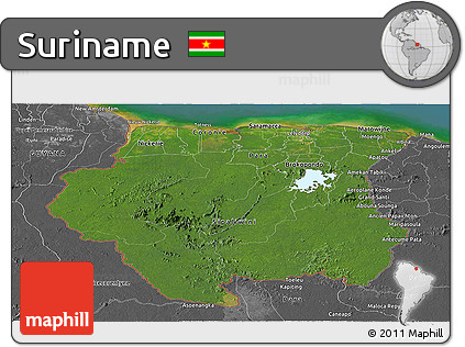 Satellite Panoramic Map of Suriname, desaturated, land only