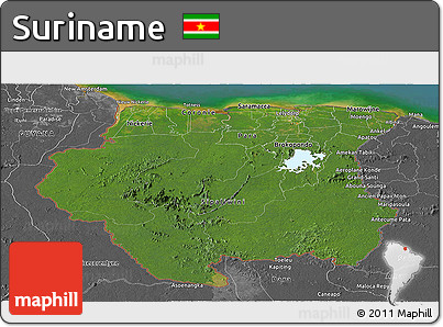 Satellite Panoramic Map of Suriname, desaturated, land only