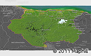 Satellite Panoramic Map of Suriname, desaturated, land only