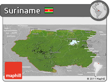 Satellite Panoramic Map of Suriname, lighten, desaturated