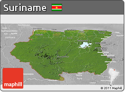 Satellite Panoramic Map of Suriname, lighten, desaturated