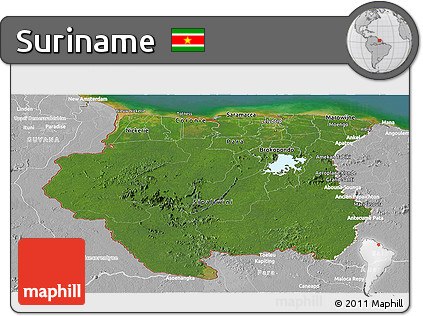 Satellite Panoramic Map of Suriname, lighten, desaturated, land only
