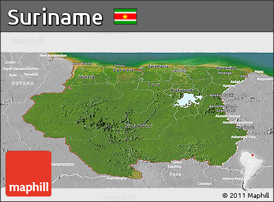 Satellite Panoramic Map of Suriname, lighten, desaturated, land only