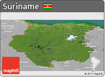 Satellite Panoramic Map of Suriname, lighten, desaturated, land only