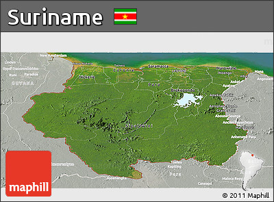 Satellite Panoramic Map of Suriname, lighten, semi-desaturated, land only