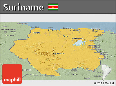 Savanna Style Panoramic Map of Suriname