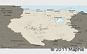 Shaded Relief Panoramic Map of Suriname, darken, land only
