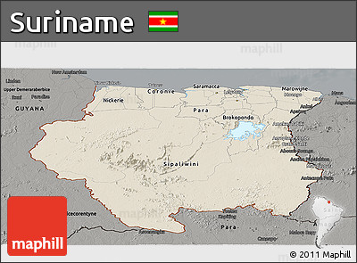 Shaded Relief Panoramic Map of Suriname, darken, semi-desaturated