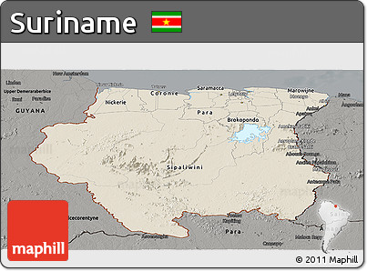 Shaded Relief Panoramic Map of Suriname, darken, semi-desaturated