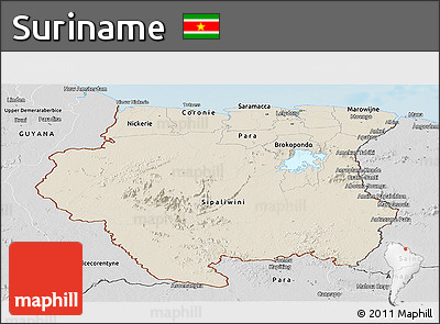 Shaded Relief Panoramic Map of Suriname, desaturated, land only