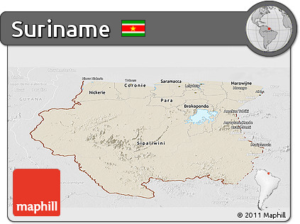 Shaded Relief Panoramic Map of Suriname, lighten, desaturated
