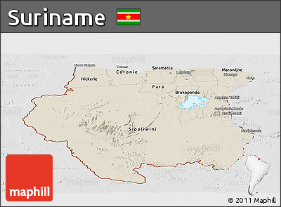 Shaded Relief Panoramic Map of Suriname, lighten, desaturated