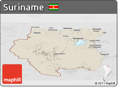 Shaded Relief Panoramic Map of Suriname, lighten, desaturated