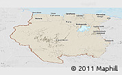 Shaded Relief Panoramic Map of Suriname, lighten, desaturated, land only