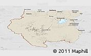 Shaded Relief Panoramic Map of Suriname, lighten, desaturated