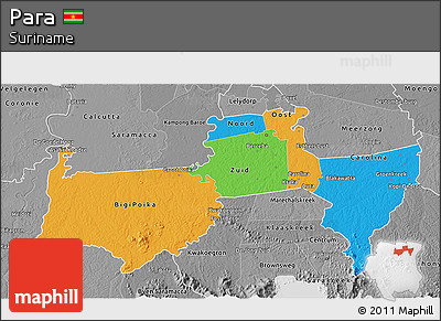 Political 3D Map of Para, desaturated