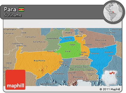 Political 3D Map of Para, semi-desaturated