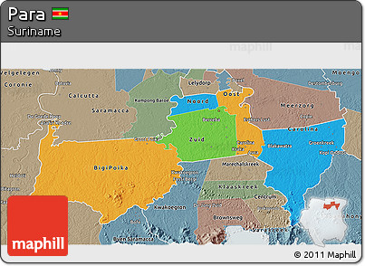 Political 3D Map of Para, semi-desaturated
