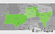 Political Shades 3D Map of Para, desaturated