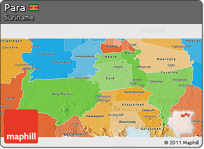 Political Shades 3D Map of Para