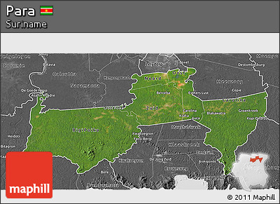 Satellite 3D Map of Para, desaturated