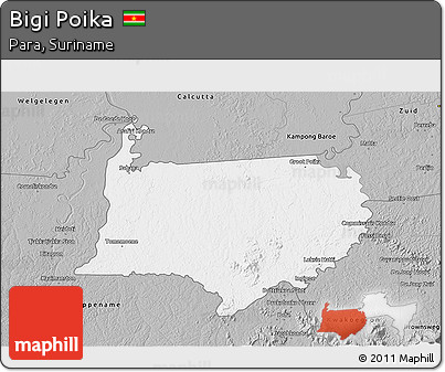 Gray 3D Map of Bigi Poika