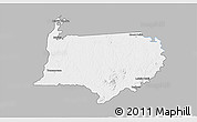 Gray 3D Map of Bigi Poika, single color outside