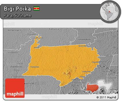 Political 3D Map of Bigi Poika, desaturated